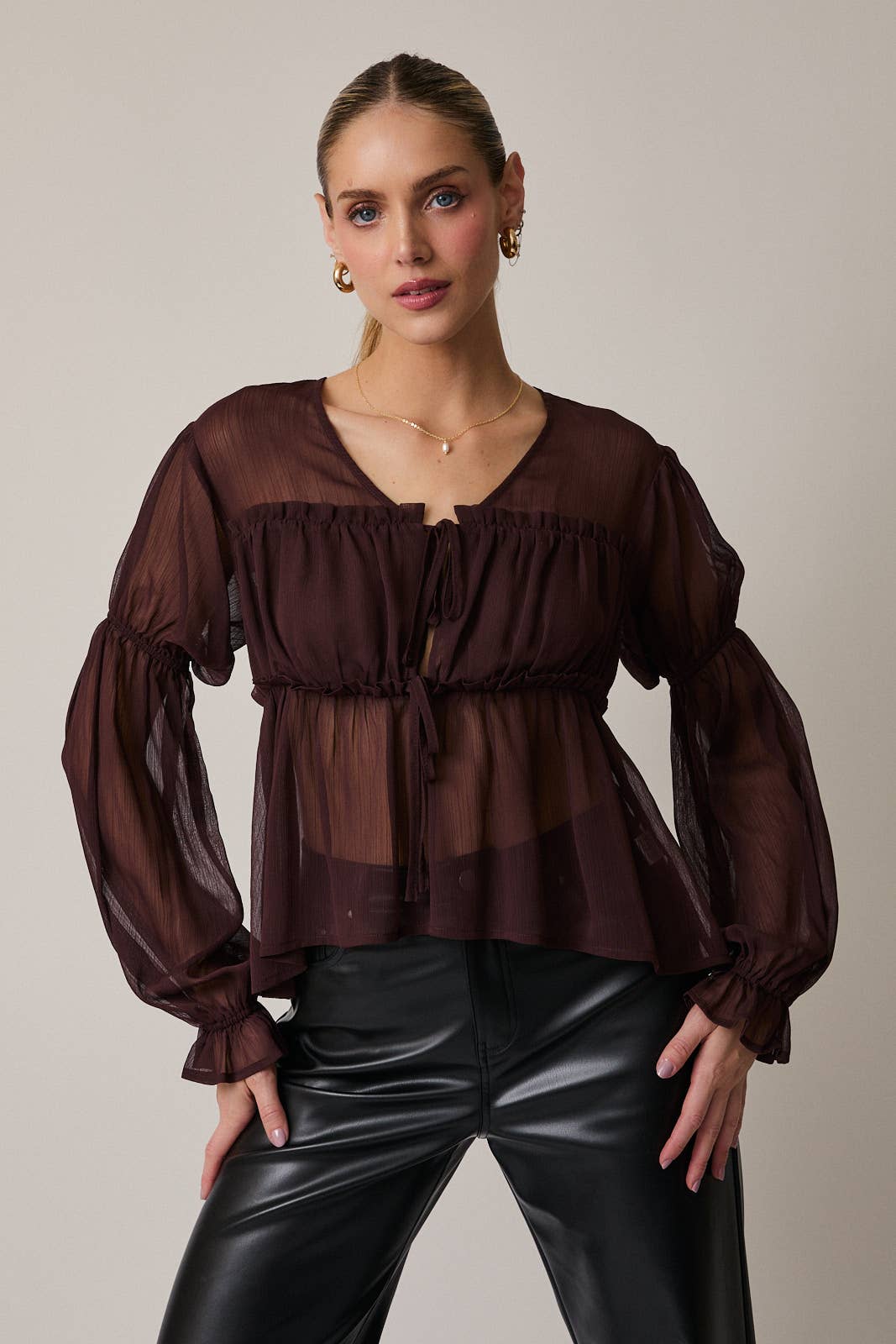 Brown Sheer Blouse