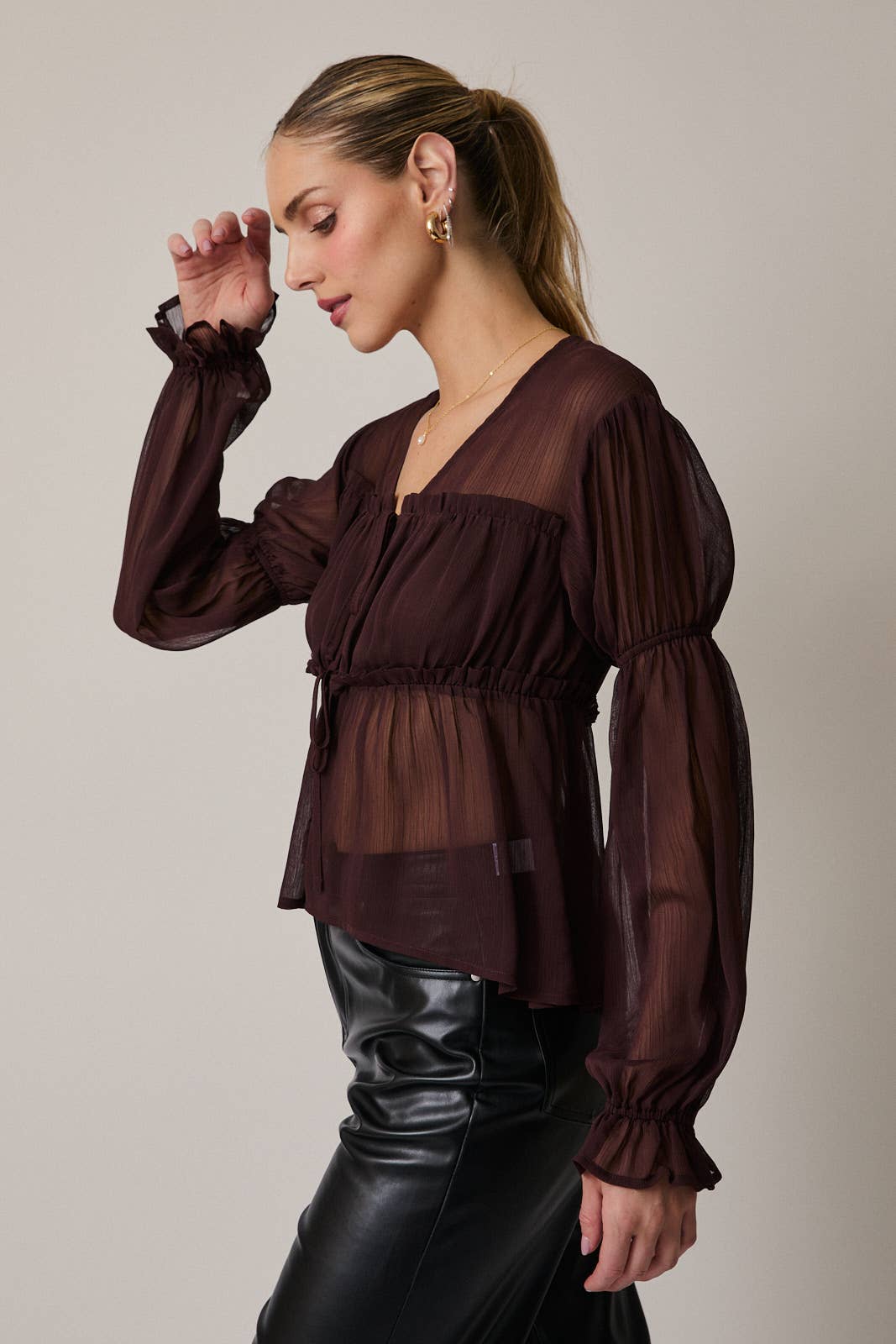 Brown Sheer Blouse