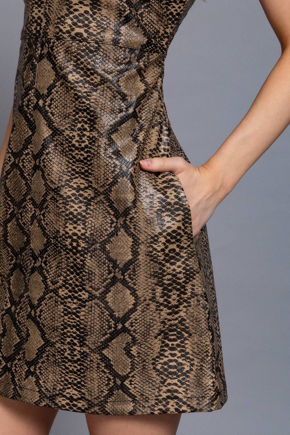 Snake Faux Leather Dress